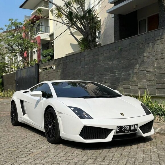 williamsuria